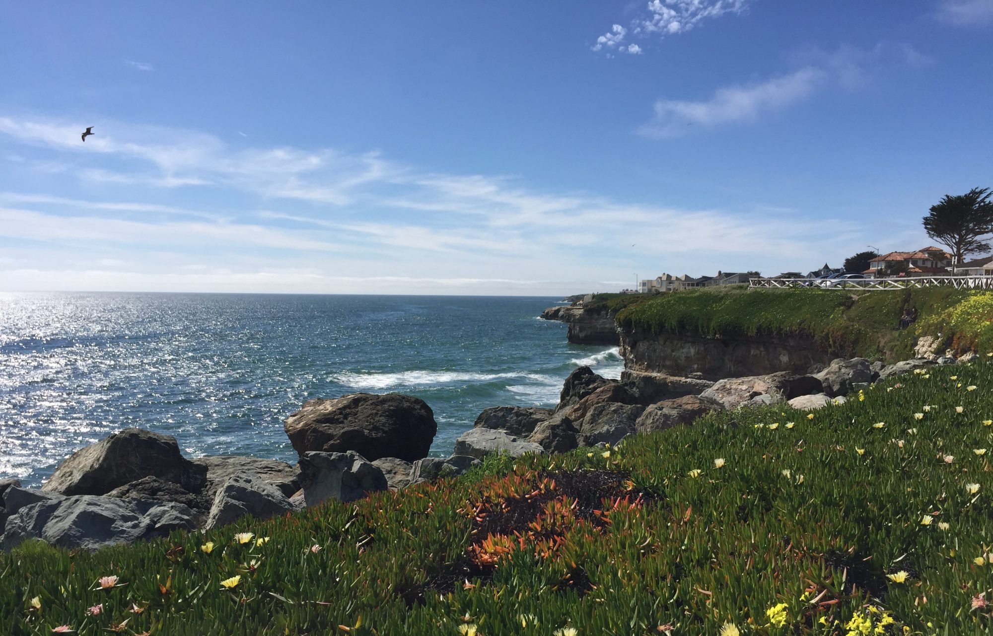 Santa Cruz coastline
